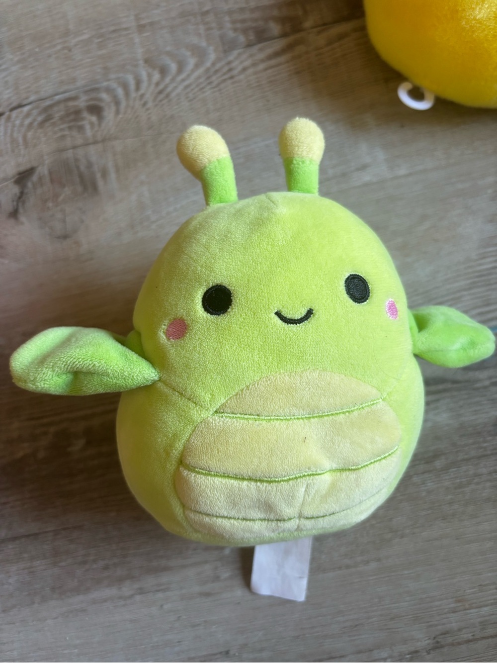 Free with any item ‼️Squishmallow